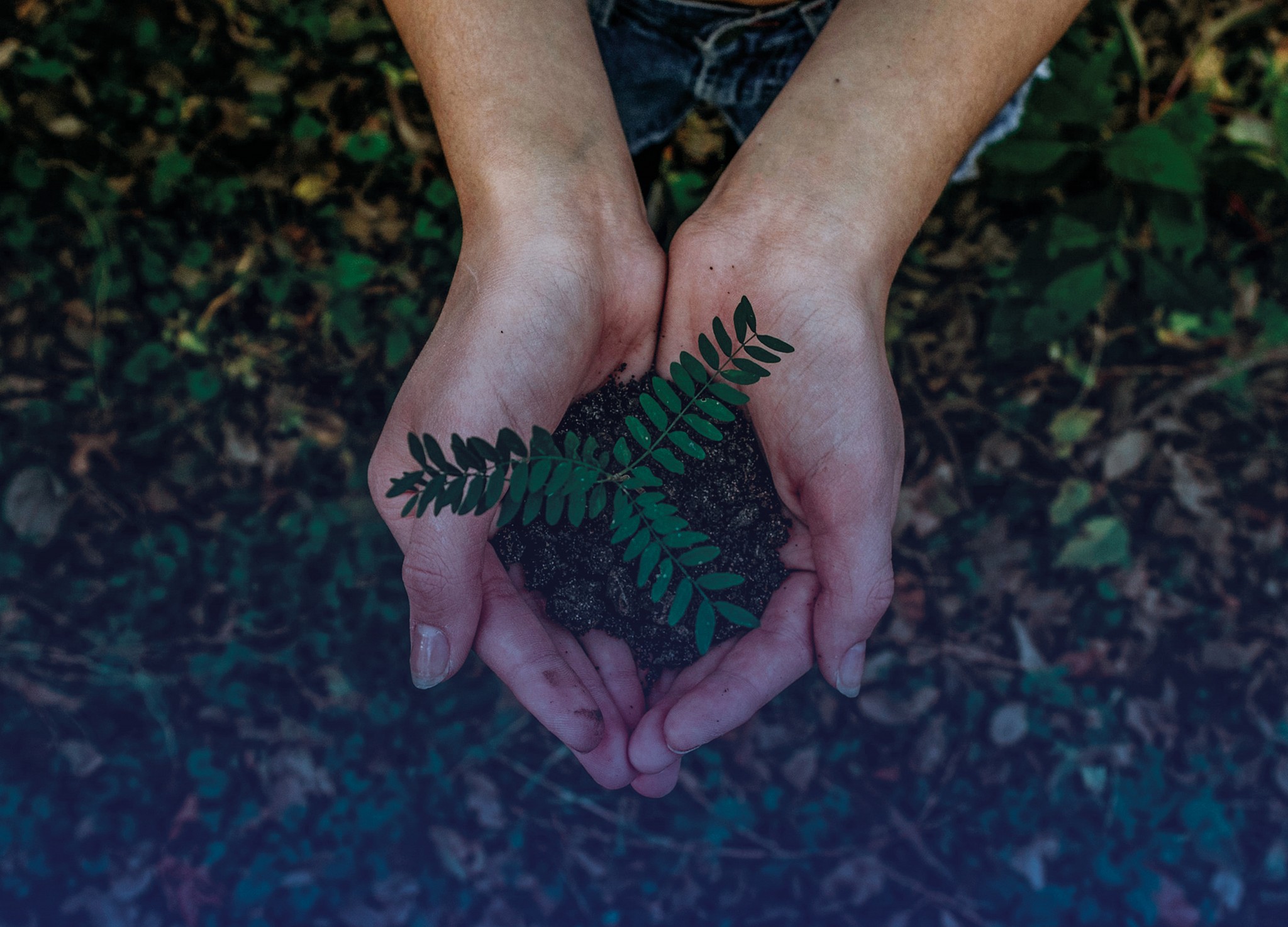sustainability
