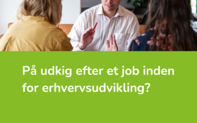 Vi søger to nye erhvervskonsulenter hos Sønderborg Vækstråd