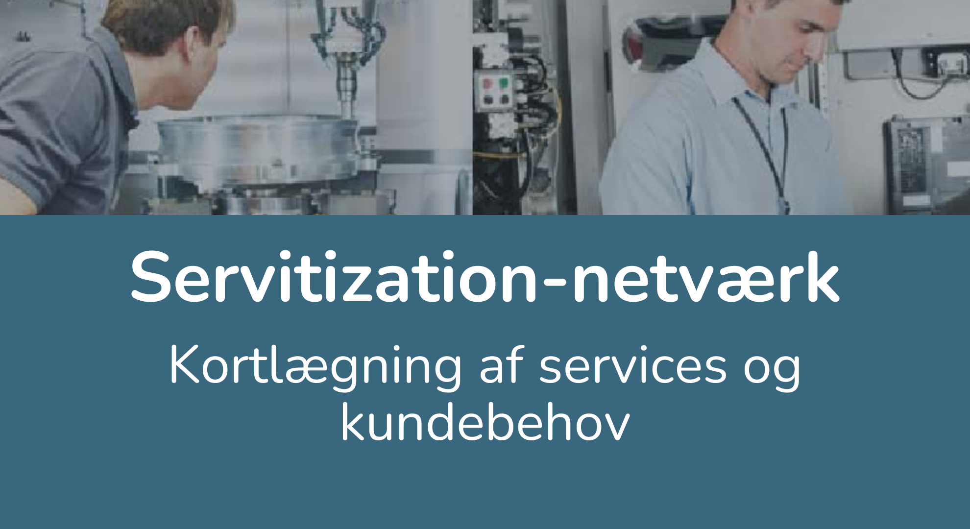 servitization