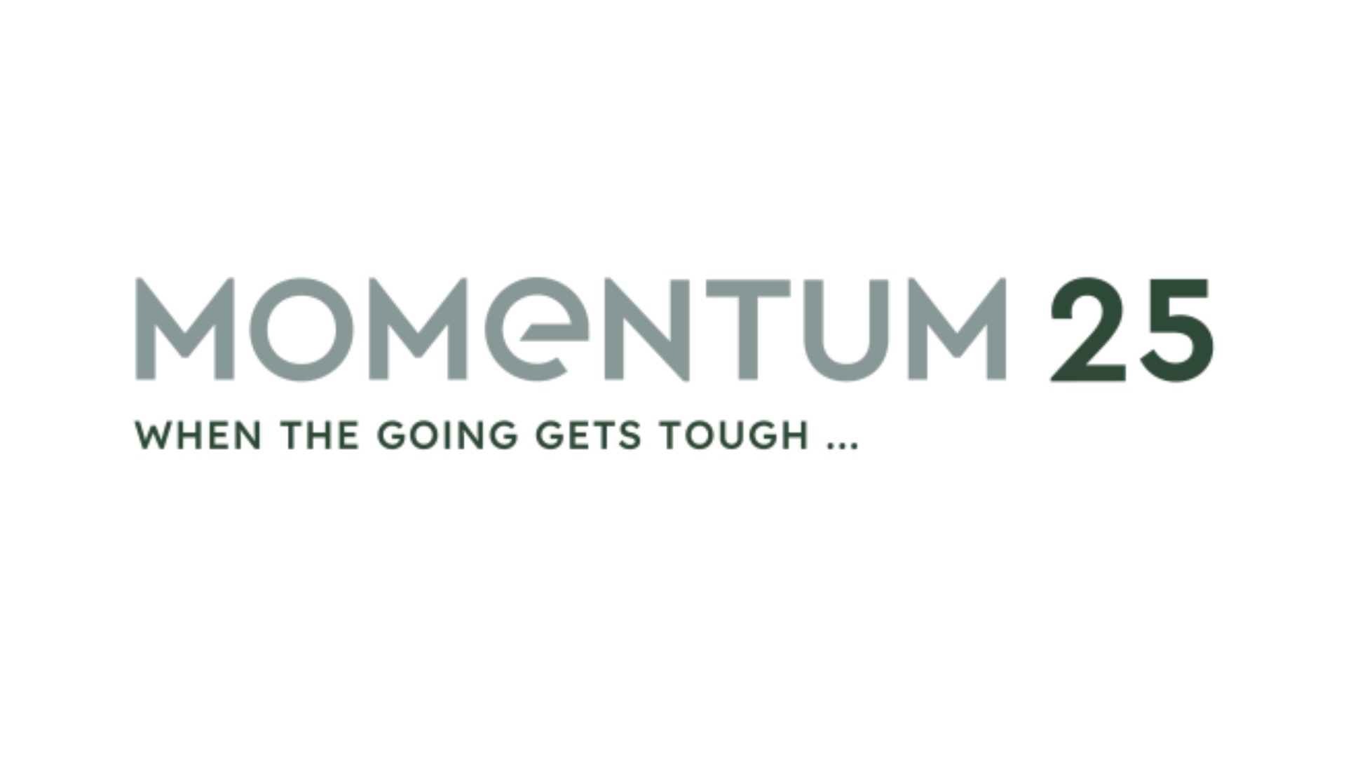 Momentum 25