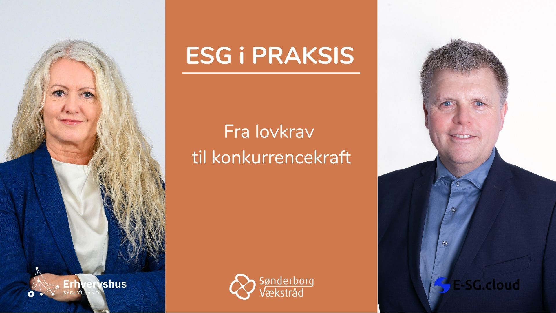 ESG Fra lovkrav til konkurrencekraft