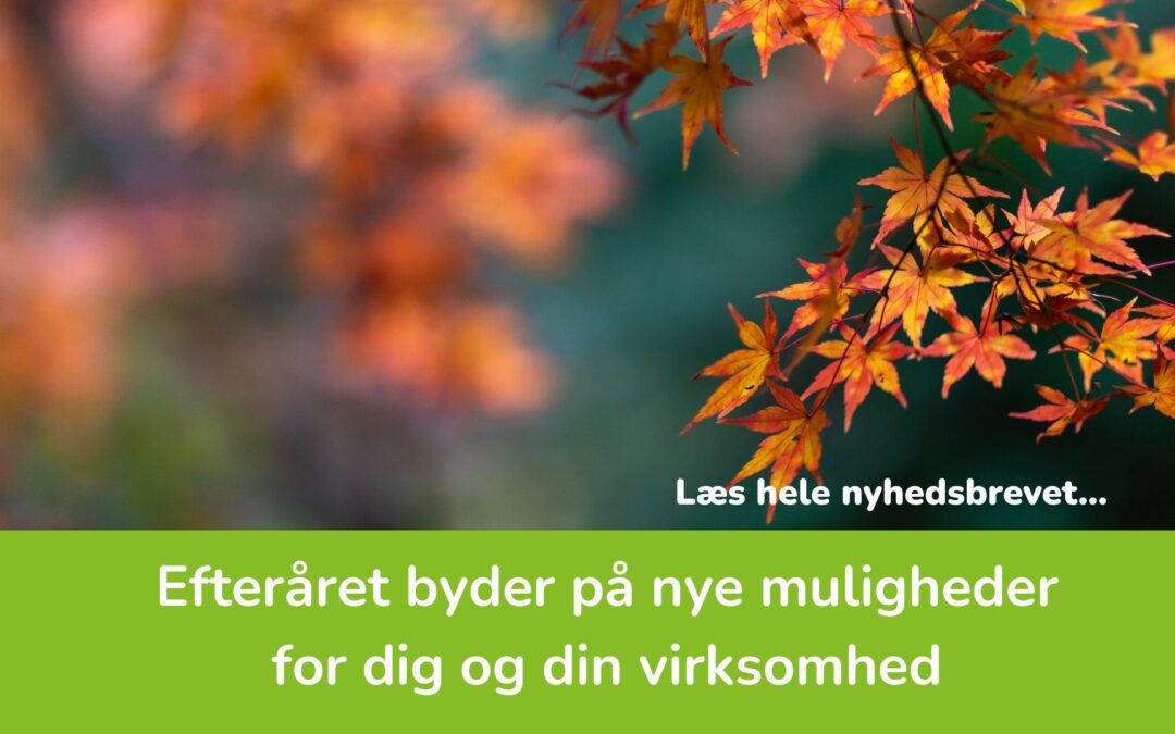 Efteråret byder på nye muligheder for dig og din virksomhed