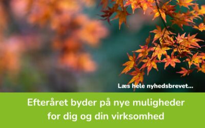 Efteråret byder på nye muligheder for dig og din virksomhed