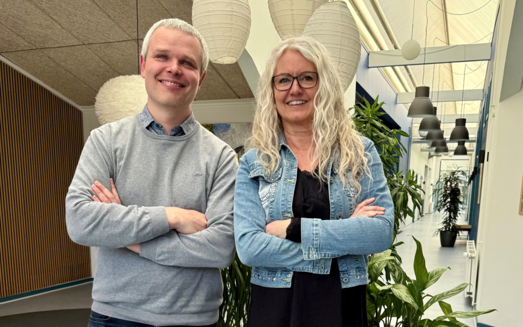 Gratis forretningstjek til virksomheder i Sønderborg-området