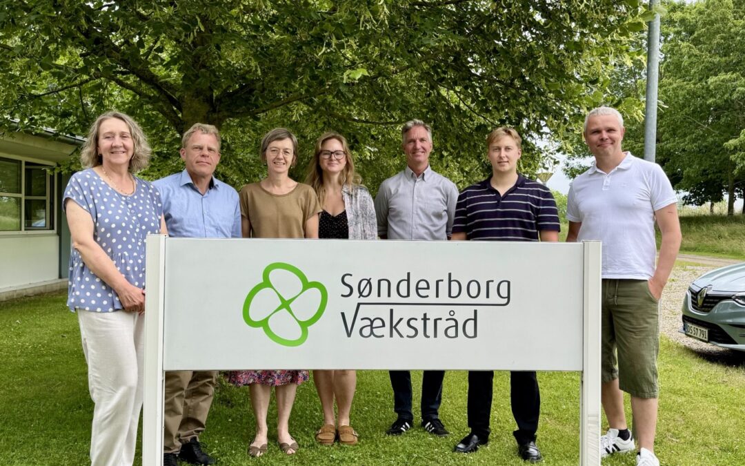 Sommerhilsen fra direktøren