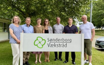 Sommerhilsen fra direktøren